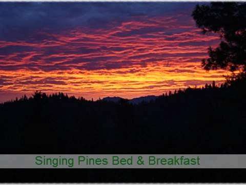 Singing Pines Bed & Breakfast Singing Pines Bed & Breakfast